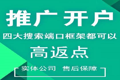 搜索引擎营销（SEM）托管服务在提升ROI方面的案例
